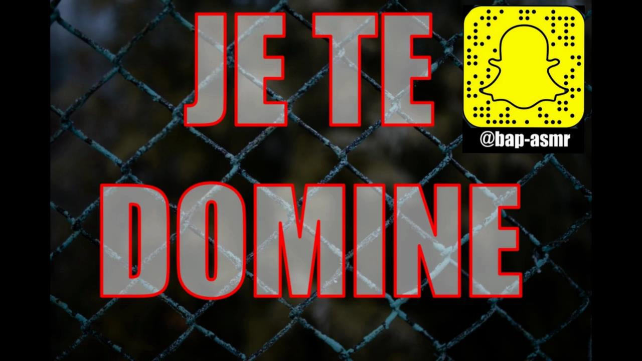 Écoute-moi et Deviens Mon Chien !