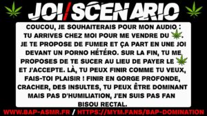 Tu vas te branler avec ton dealer et le sucer jusqu'au jus. (audio de 11 min 57)