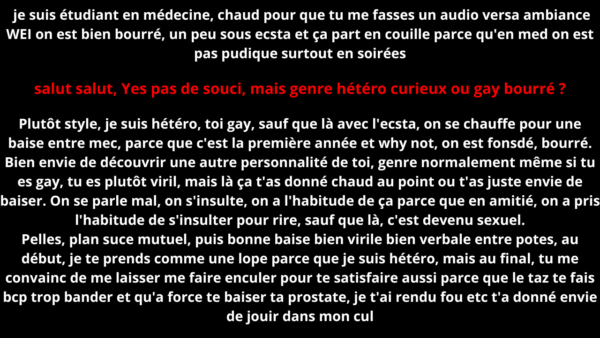 Oh poto ! Tu me suces je te suce et tu m'encules je t'encule ? (audio de 17 min 24) – Image 2