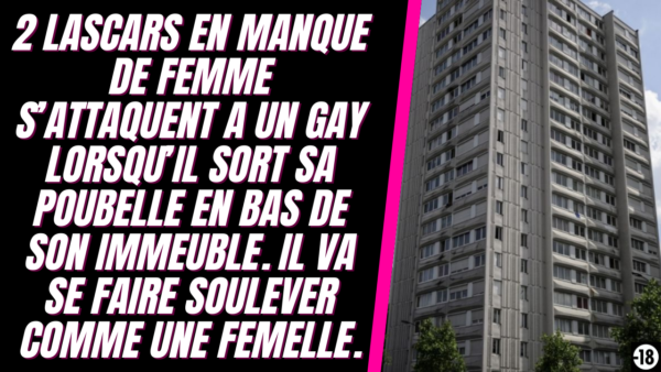 Tu vas te faire baiser comme une chienne par 2 lascars en bas de ton immeuble [Féminisation] (audio de 13min55)