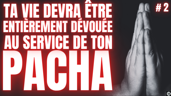 Tu vas prendre ta place d'esclave sexuelle au pied de ton boss [ton fric est à moi]. (12min38)